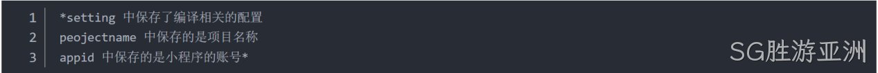  JSON 配置文件